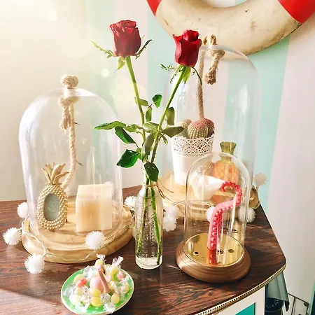 Il Tentacolo Bed and breakfast Ventimiglia