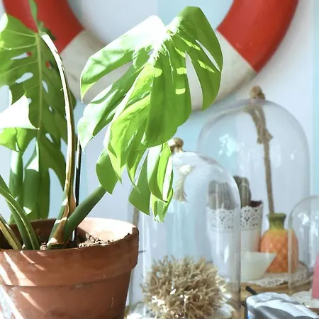 Il Tentacolo 3* Ventimiglia