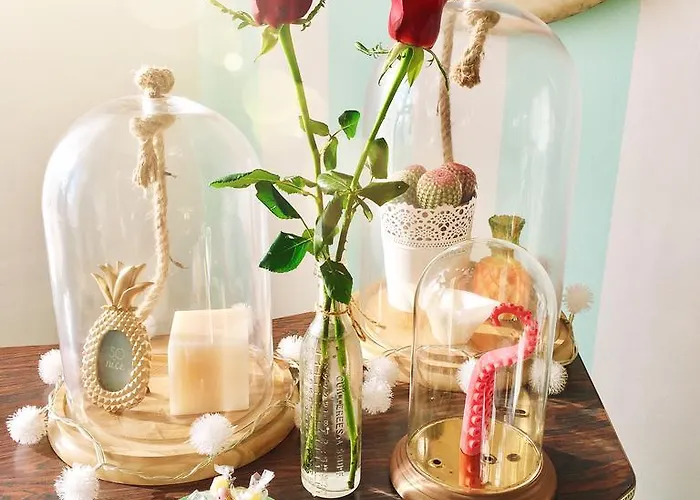 Il Tentacolo Bed & Breakfast Ventimiglia